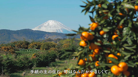 富士山が見えるみかん畑